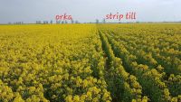 fot. orka, strip till