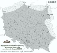 Występowanie ćmy buklszpanowej w Polsce w 2020 roku