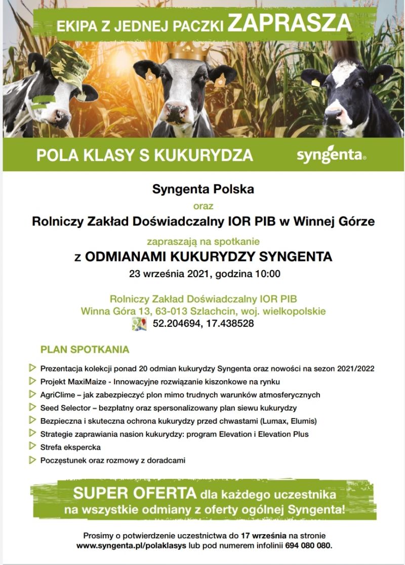 Spotkanie z odmianami kukurydzy SYNGENTA