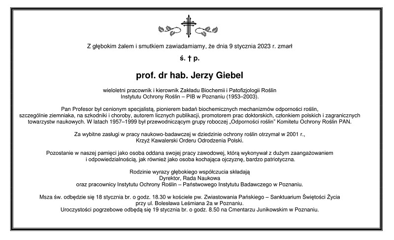 prof. dr hab. Jerzy Giebel