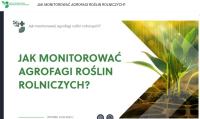 Fot. 1