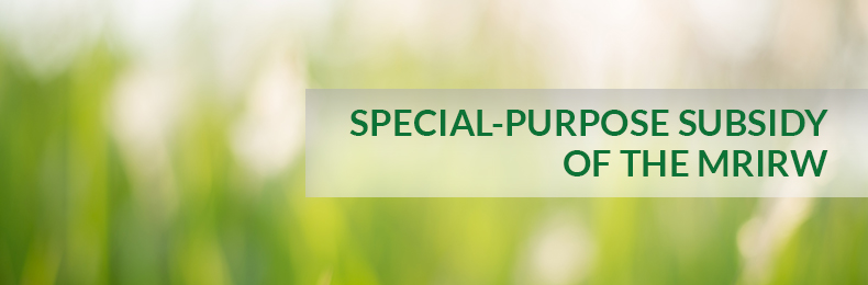 SPECIAL-PURPOSE SUBSIDY of the MRiRW