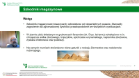 Fot. 2