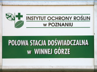 PSD Winna Góra_3