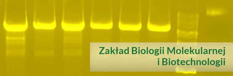 Biologia Molekularna i Biotechnologia