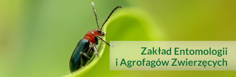 Entomologia