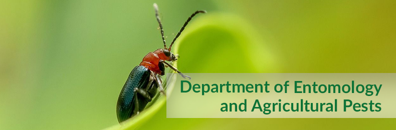 Department of Entomology and Agricultural Pests