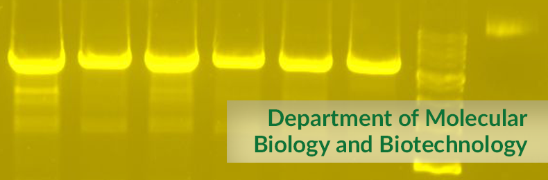 Department of Molecular Biology and Biotechnology