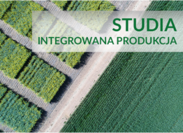 Ostatnie zajęcia w ramach Studiów Podyplomowych IP 2024/2025