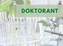 Doktorant-stypendysta w projekcie OPUS