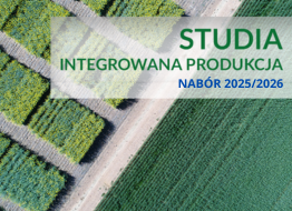 Nabór na studia podyplomowe IP 2025/2026