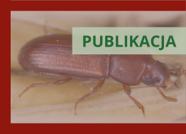 Ukazał się „Atlas owadów – szkodników żywności”
