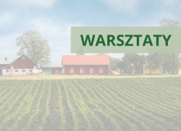 Udział przedstawiciela IOR – PIB w warsztatach fokusowych KSGD