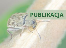 „Atlas owadów – szkodników żywności”