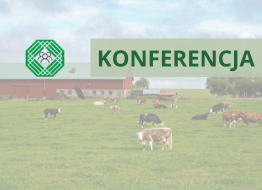 Udział IOR – PIB w konferencji KSGD