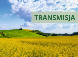 Transmisja Konferencji