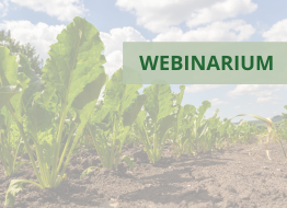Otwarta rejestracja na webinarium dotyczące ochrony buraka cukrowego