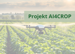 Start III fazy projektu Infostrateg AI4CROP
