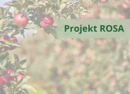Promocja projektu ROSA