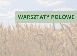 Warsztaty Polowe w Łosiowie