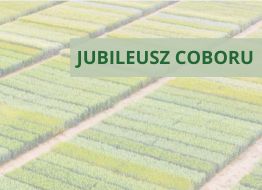 Jubileusz 60-lecia COBORU