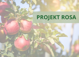 Edukacja przez praktykę w projekcie ROSA