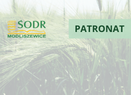 Patronat honorowy IOR - PIB