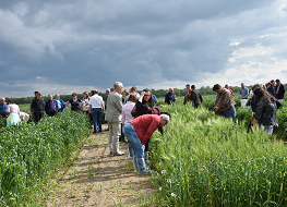 28.05.2019 Szkolenie w zakresie integrowanej ochrony roślin – Grodkowice