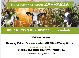 Spotkanie z odmianami kukurydzy SYNGENTA