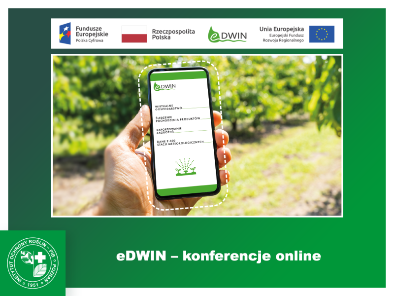 Konferencje online - eDwin