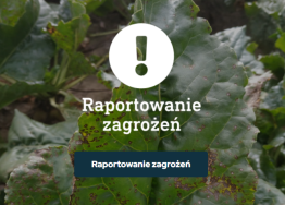 Platforma eDWIN – raportowanie zagrożeń