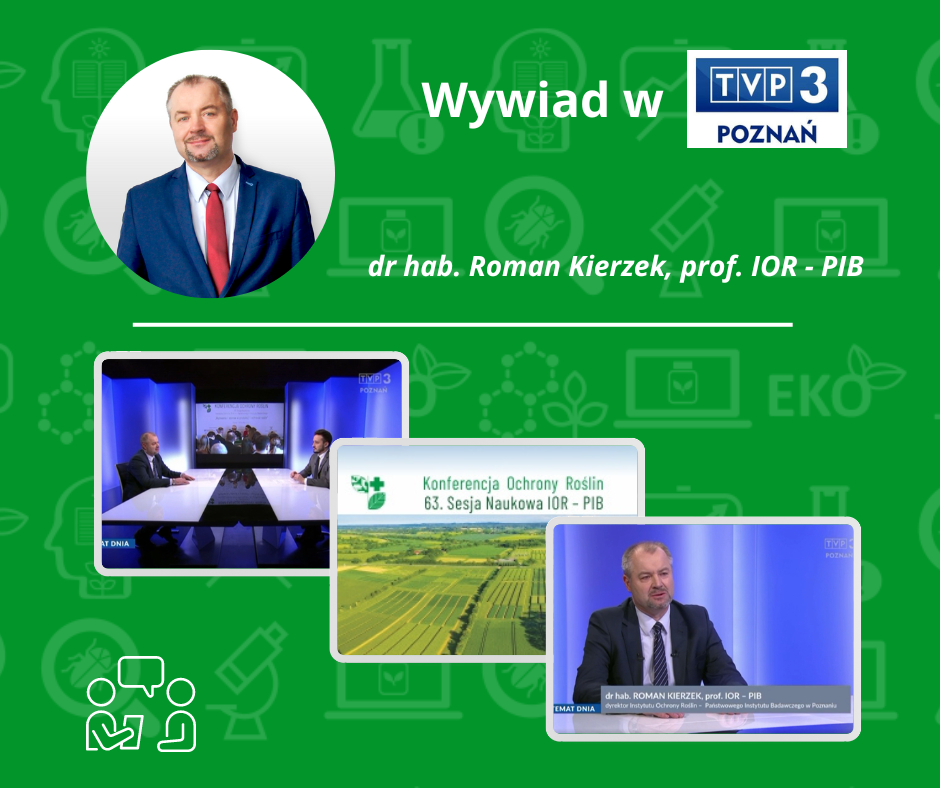 Wywiad z Dyrektorem IOR - PIB