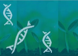 VII Ogólnopolskie Sympozjum Mikrobiologiczne „METAGENOMY RÓŻNYCH ŚRODOWISK”