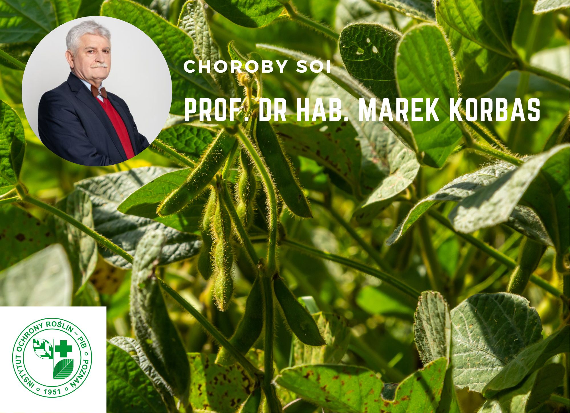 Prof. dr hab. Marek Korbas - relacja z plantacji soi