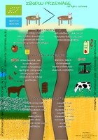 2. miejsce_ Kinga Godlewska.pdf