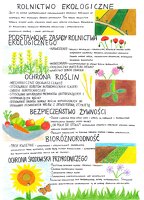 3. miejsce_ Patrycja Witkowska.pdf