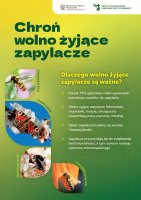 Ochrona wolno zyjacych zapylaczy (ulotka) 2025.pdf