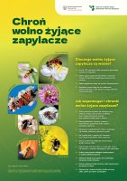 Ochrona_wolno zyjacych zapylaczy (plakat) 2025.pdf